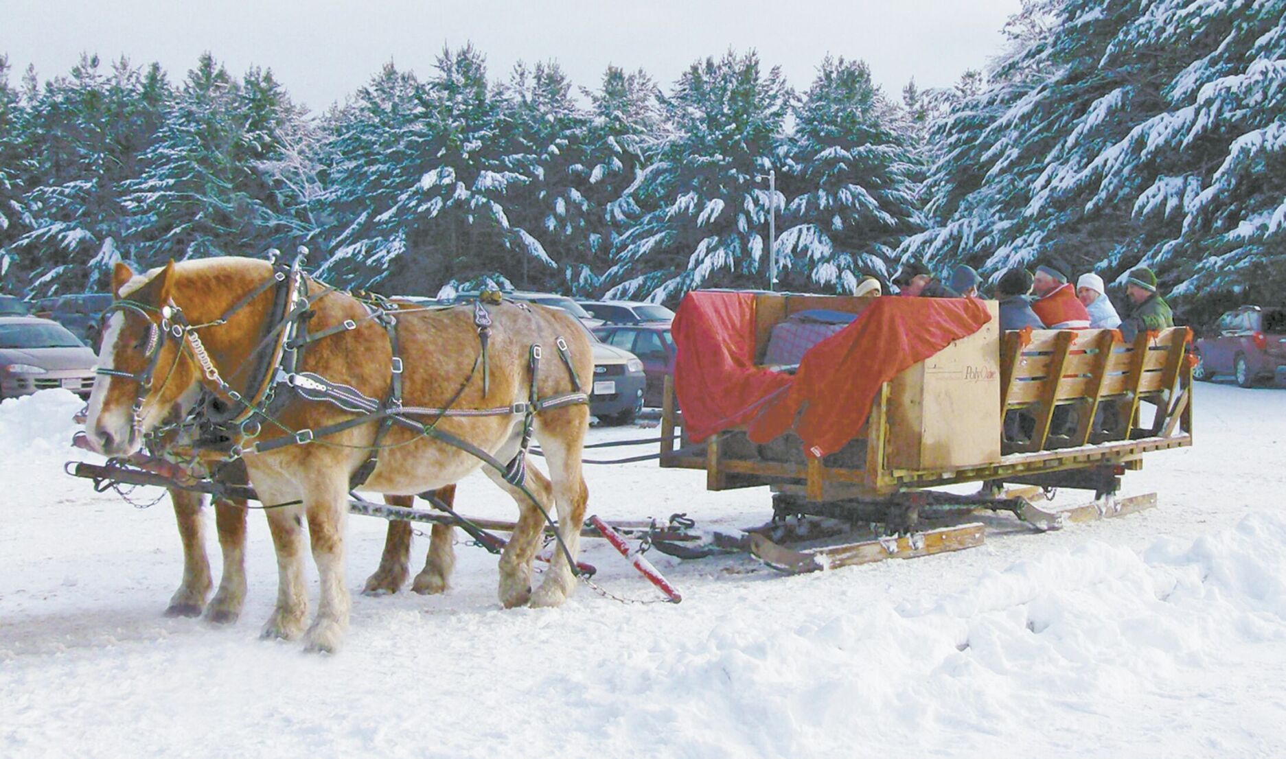 Forts Christmas sleigh11.14.18.tif